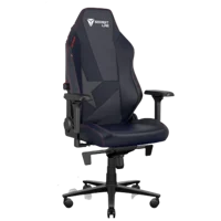 x Astralis Gaming Chair